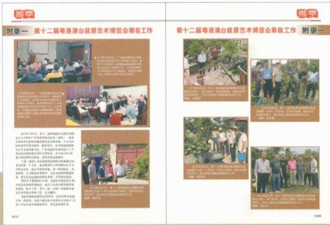 2019 第十二届粤港澳台盆景艺术博览会