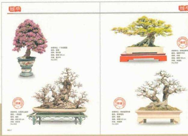 2019 第十二届粤港澳台盆景艺术博览会