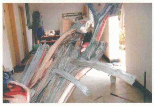 图解 刺柏盆景桩材怎么舍利雕刻的方法