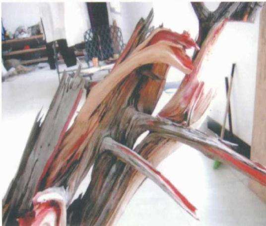 图解 刺柏盆景桩材怎么舍利雕刻的方法