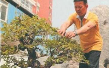 柯家花园仿古石盆联系电话 欢迎联系 图片