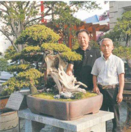 图解 刺柏盆景怎么制作舍利效果的方法