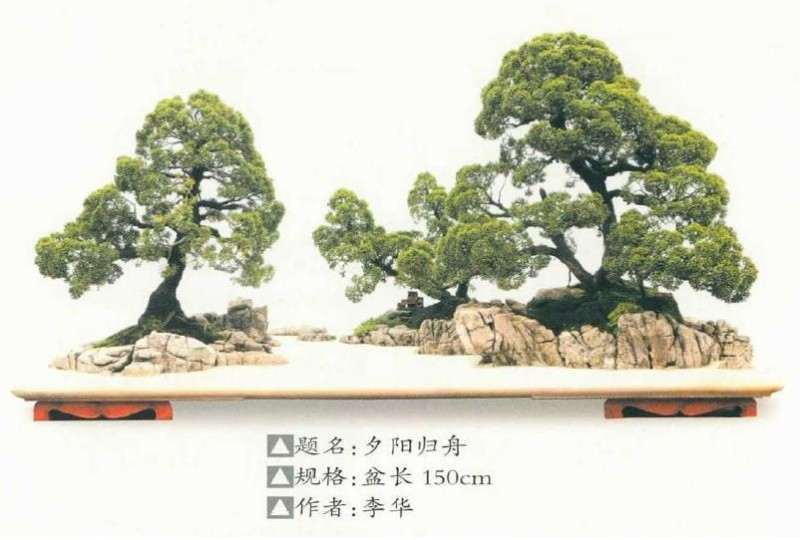 记遵义市花卉盆景协会 图片