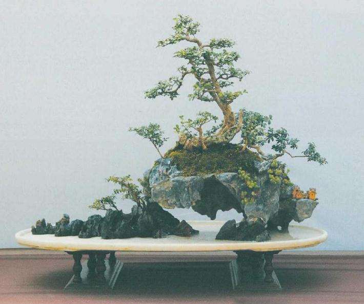 扬派盆景技艺非遗传人