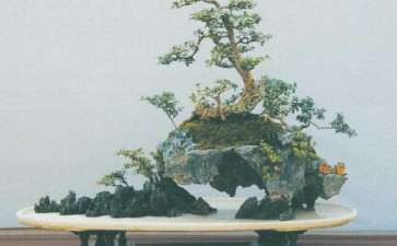 扬派盆景技艺非遗传人 丁春桥