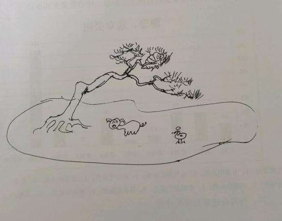 今年年初收的一盆黄山松盆景