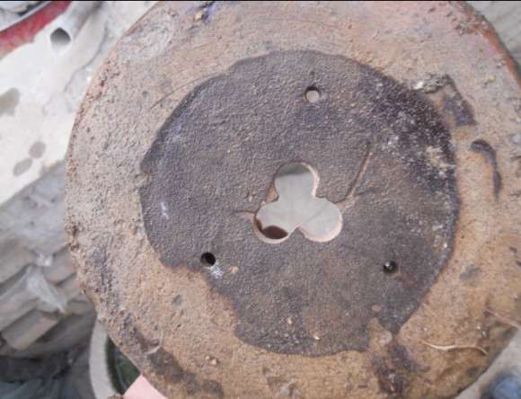 小黄山松理根盆景怎么换盆的过程