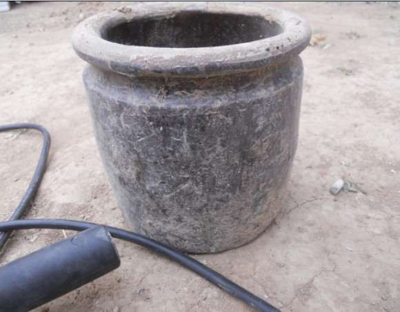 小黄山松理根盆景怎么换盆的过程