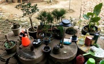 作为一个玩下山桩的人 我想说几句