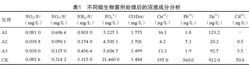 不同微生物菌剂对盆栽茄子生长发育的影响