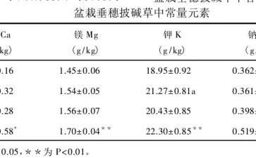 盆栽垂穗披碱草土壤中矿物元素
