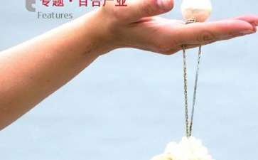 盆栽景观花海开启百合应用新模式