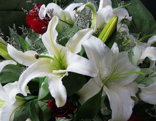 盆栽百合的病虫害怎么防治的2个措施