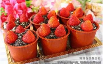 盆栽草莓种类及种植技术指南