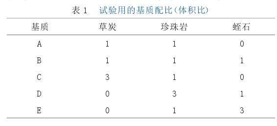 盆栽非洲菊组培苗驯化基质配方筛选
