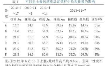 无土栽培基质对盆栽富贵籽成苗率的影响