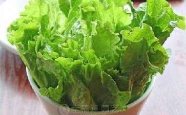 蔬菜盆栽器具和营养土准备