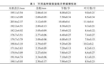 微型盆栽月季扦插生根及根系生长因素分析