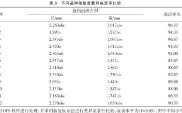 不同品种微型盆栽月季生根比较试验