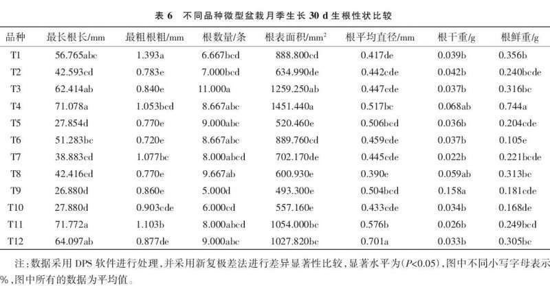 不同品种微型盆栽月季壮苗指数的比较