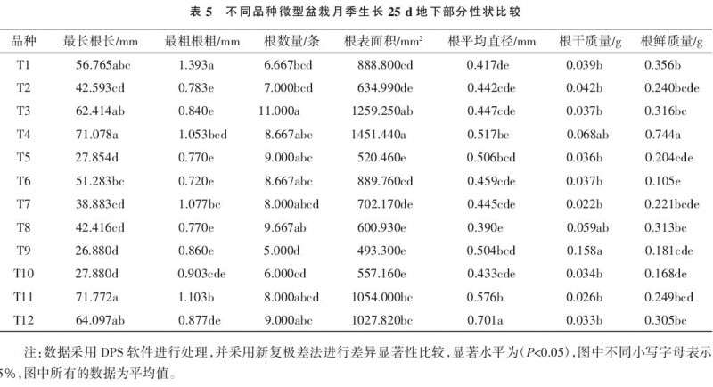 不同品种微型盆栽月季壮苗指数的比较