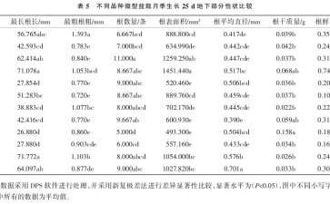不同品种微型盆栽月季壮苗指数的比较