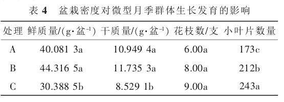 盆栽密度对微型月季地上部分生长发育的影响