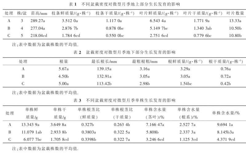 盆栽密度对微型月季地上部分生长发育的影响