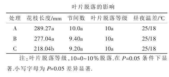 盆栽密度对微型月季开花的影响