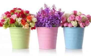 怎么建立盆栽机构的理论模型的6个方法