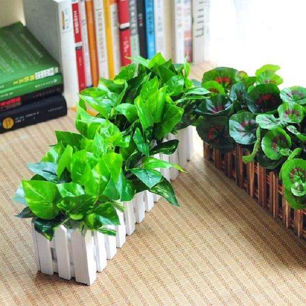 为什么一台进口盆栽流水线动辄100万以上