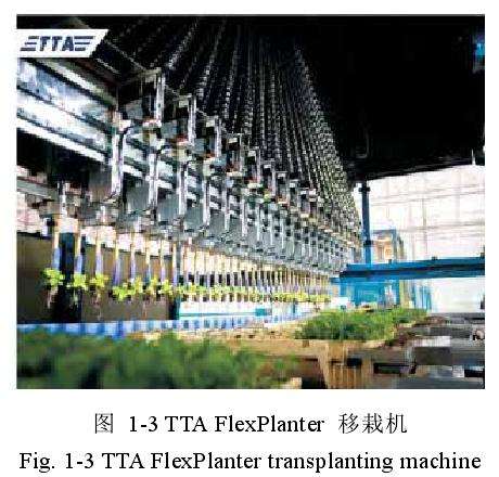 荷兰VISSER开发的PC-16型花卉移栽机