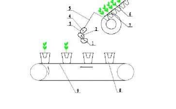 盆栽系统的3个组成和工作原理
