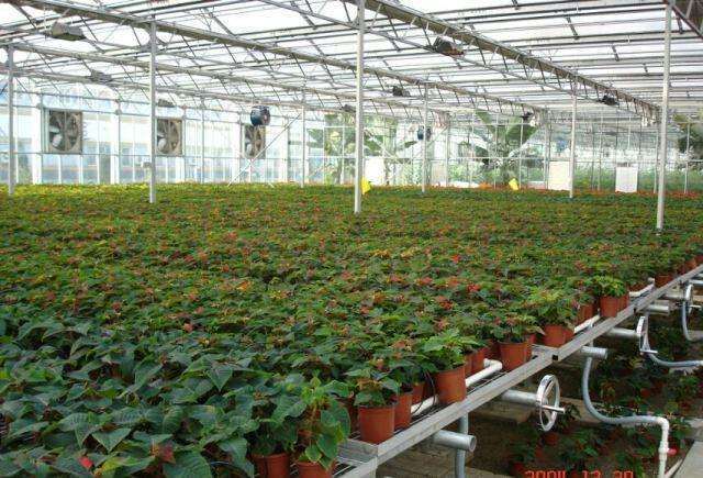 对花卉盆栽机构5个研究内容和技术路线
