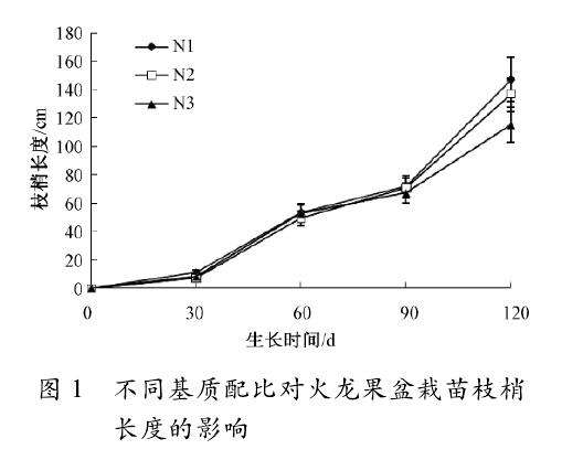 基质配比对火龙果盆栽枝梢长度的影响