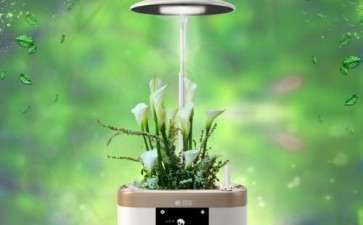 基于用户体验的智能盆栽产品设计研究