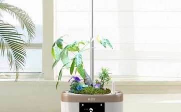 智能盆栽用户体验怎么设计的3个原则