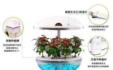 智能盆栽用户体验怎么设计的3个方法