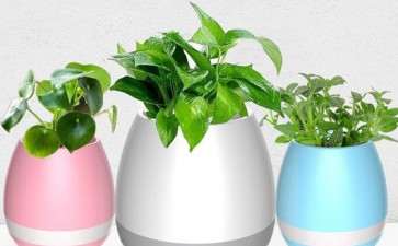 智能盆栽工作原理是什么 图片