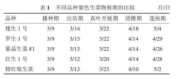 盆栽条件下干旱区幼龄红枣树耗水规律的研究