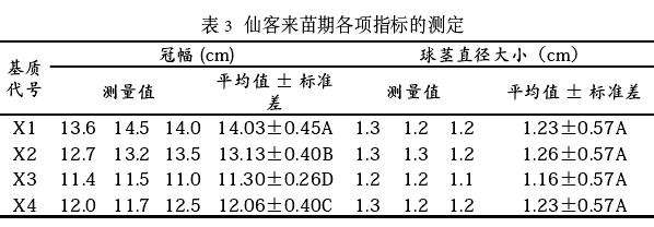 盆栽仙客来怎么基质选择的3个方法