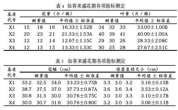 盆栽仙客来怎么基质选择的3个方法