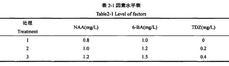 盆栽小菊愈伤组织诱导研究