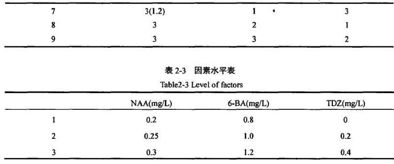 盆栽小菊愈伤组织诱导研究