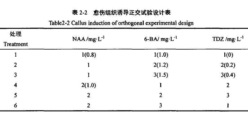 盆栽小菊愈伤组织诱导研究