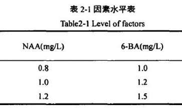 盆栽小菊愈伤组织怎么诱导的研究