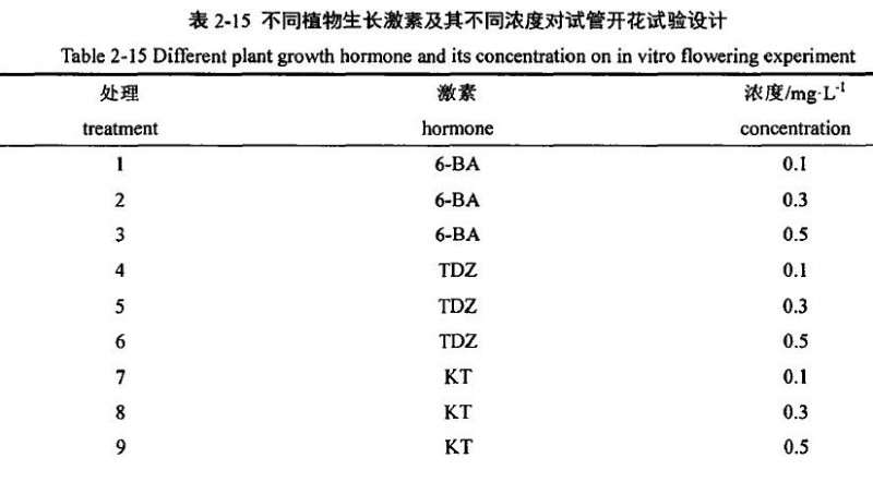盆栽小菊试管开花技术研究
