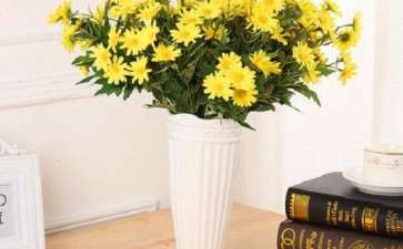 盆栽小菊试管开花技术研究