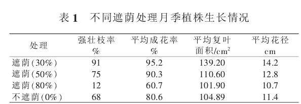 不同叶面施肥对月季植株复壮的影响