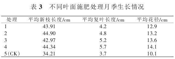 不同叶面施肥对月季植株复壮的影响
